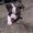 Photo of Sophi H.