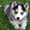 Photo of Emily S.
