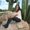 Photo of Michelle T.