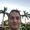Photo of Dustin O.