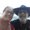 Photo of Donna C.