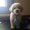 Photo of Cindy A.