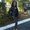 Photo of Julie N.