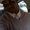 Photo of Jay D.