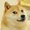 Photo of Doge S.