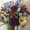 Photo of Shwetha H.