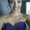 Photo of Tara S.