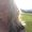 Photo of Kate L.