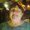 Photo of Susan M.