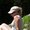 Photo of Lori C.