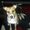 Photo of Qype User (christ…)