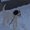 Photo of Zoi S.