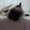 Photo of David G.