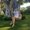 Photo of Yulia S.