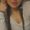 Photo of Malyssa C.