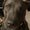 Photo of Bob And M.