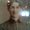 Photo of Vickii H.