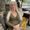 Photo of Carol K.