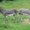 Photo of Mary R.