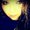 Photo of Tara M.