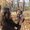 Photo of Susie T.