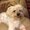 Photo of Khanh H.
