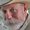 Photo of Steve S.