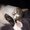 Photo of Tired M.