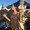 Photo of Shireen K.