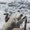 Photo of Paul K.