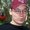 Photo of Craig Q.