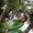 Photo of Lenis M.