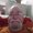 Photo of Greg W.