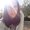 Photo of Erica R.