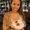 Photo of Anita K.