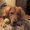 Photo of Sonny A.