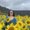 Photo of Madi M.