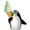 Photo of Pinguineis K.