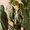 Photo of Glenice G.
