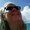 Photo of Tina T.