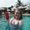 Photo of Kaylee D.