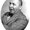 Photo of Robb B.