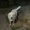 Photo of Miao H.