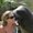 Photo of Kim K.