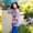 Photo of Anela T.