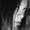 Photo of Daniela S.