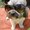 Photo of Qype User (Nadine…)