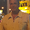 Photo of Don M.
