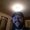 Photo of Ryan B.