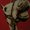 Photo of Qype User (johnhe…)